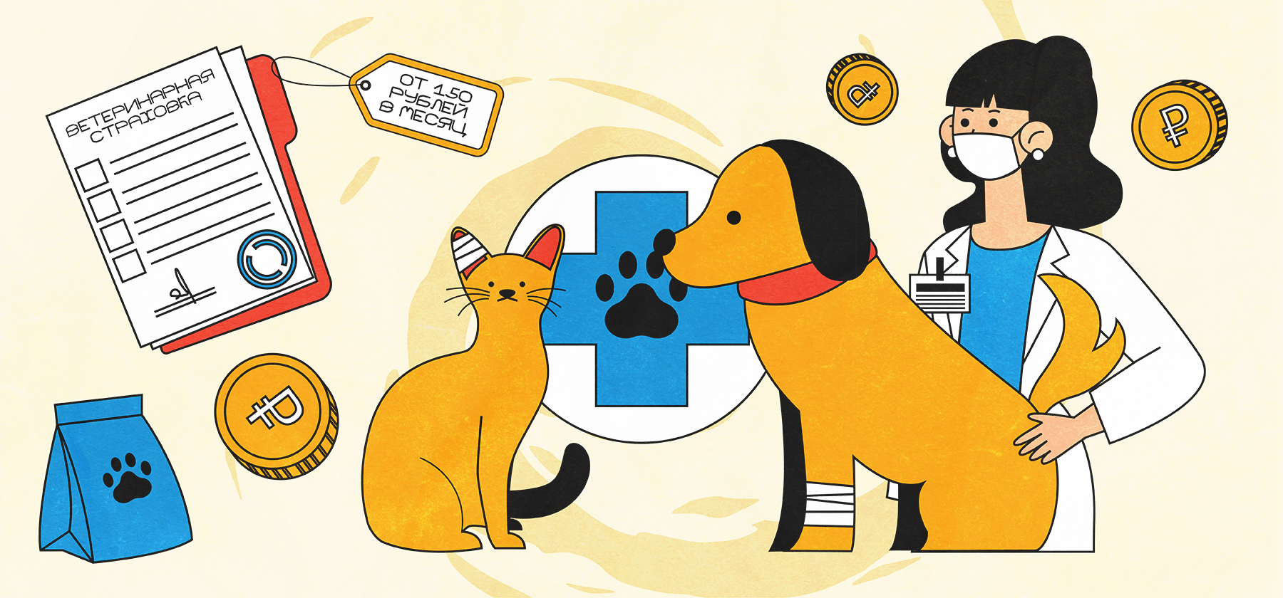 ВИДЕО: От сломанной лапы и ободранного дивана, или зачем страховать ...