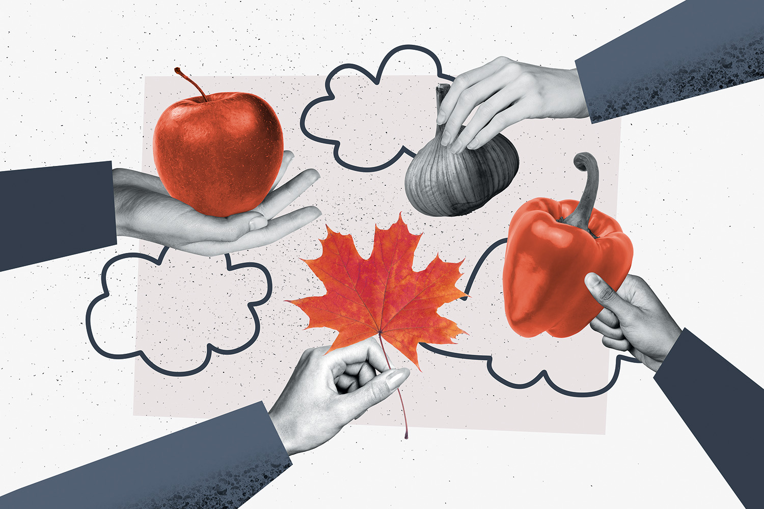 Разложить по полочкам