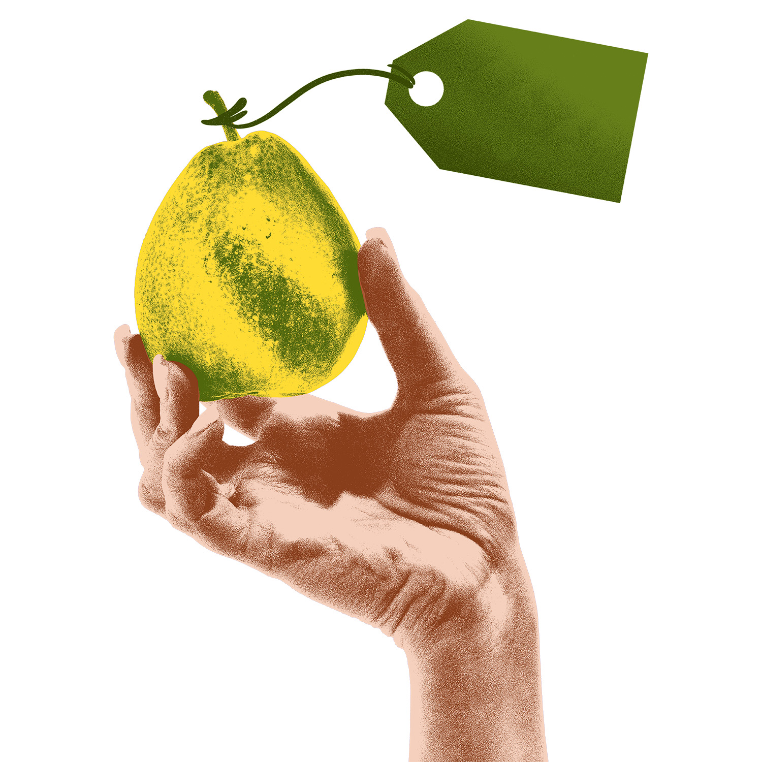 Деньги – назад!